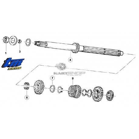 Eclaté arbre primaire TM K9 - KZ10