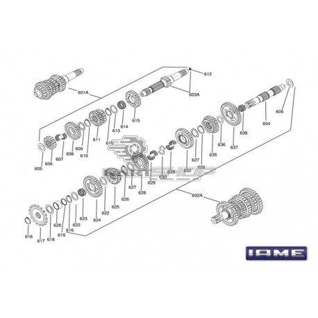 Eclaté boite de vitesses moteur IAME SCREAMER
