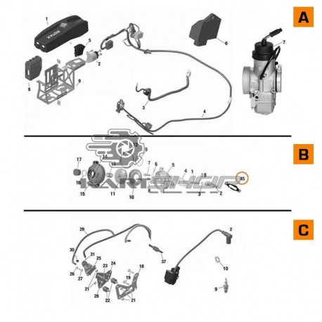 Eclaté électrique + carburateur ROTAX EVO