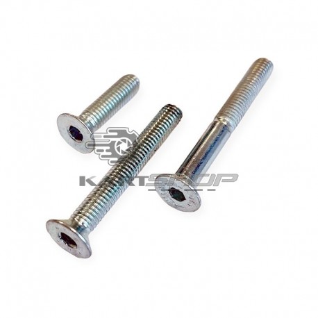 Vis à 6 pans creux FHC M4 mm