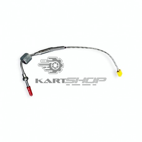 Sonde de température d'échappement AIM MYCHRON