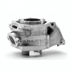 Moteur ROTAX MAX Evo