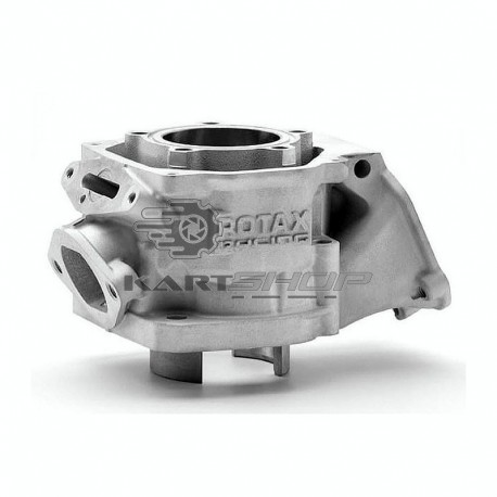 Moteur ROTAX MAX Evo