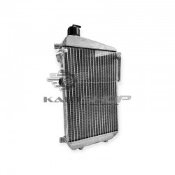 Pochette de joints complète ROTAX DD2