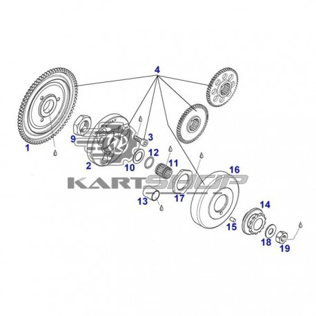 Eclaté embrayage ROTAX