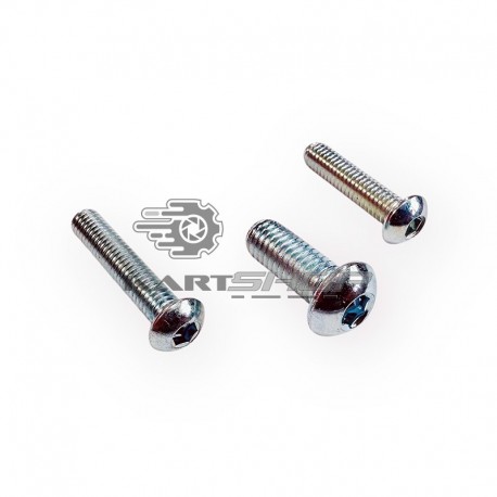 Vis à 6 pans creux TBHC M6