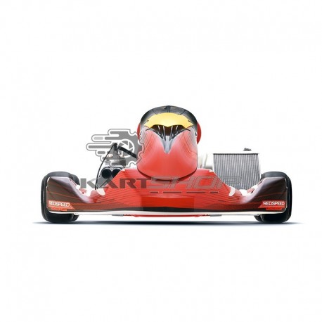 Ensemble REDSPEED ROTAX DD2 Evo //2024//