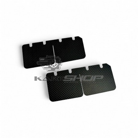 Clapets en carbone "grande boite" F20.000